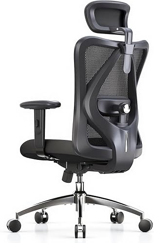 SIHOO M18 Ergonomic Office Chair, High Back Mesh Desk Chair with Adjus — Side-by-side comparison of top picks in this category