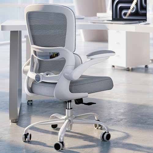 TRALT Office Chair - Ergonomic Desk Chair with Adjustable Lumbar Suppo — Real-world performance testing in action