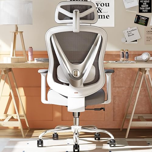 HOLLUDLE Ergonomic Mesh Office Chair - 3D Adjustable Lumbar Support & — Build quality and design details up close