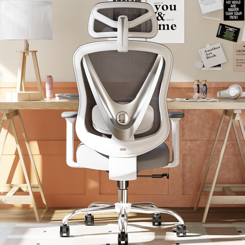HOLLUDLE Ergonomic Mesh Office Chair