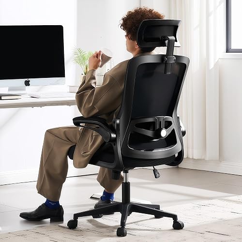 Fizzin Ergonomic Office Chair, 400 LBS Computer Chairs with Adjustable — Side-by-side comparison of top picks in this category