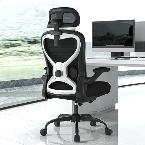 Home Office Desk Chairs, Ergonomic Office Chair with Lumbar Support & — Our recommended configuration for best results